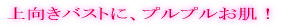 �v���v�������ɁA������o�X�g�I